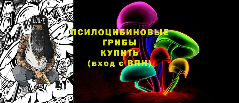 Псилоцибиновые грибы Cubensis  Минусинск 